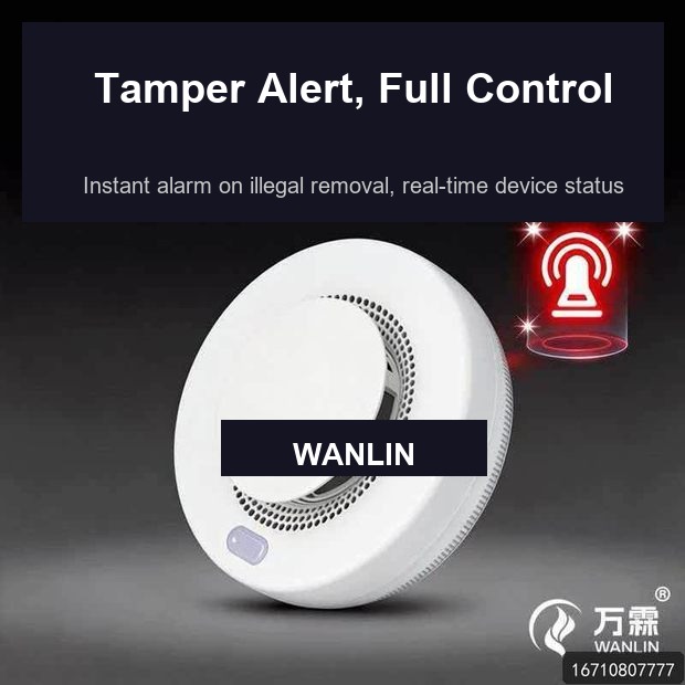 Wanlin Propane Gas Leak Detector Real Photo Propane Gas Leak Detector Manufacturer Direct, CE UL FCC, Fast Delivery Worldwide