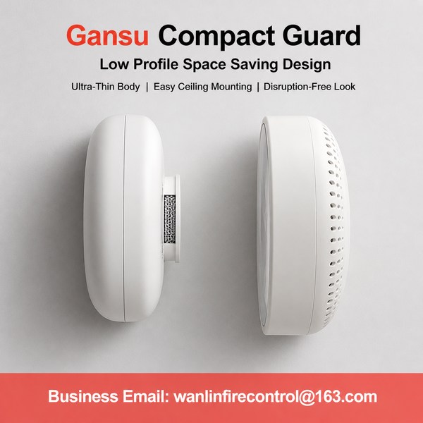 Intelligent Carbon Monoxide Alarm product image